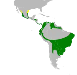 Nidificación Todo el año