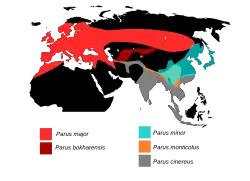 Distribución de las especies de Parus.[1]​