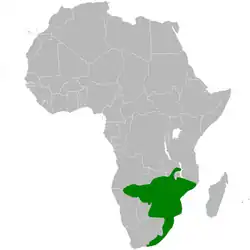 Distribución del carbonero negro.