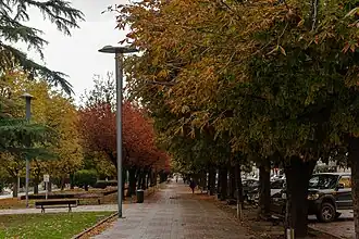 Paseo de la Condesa de Sagasta