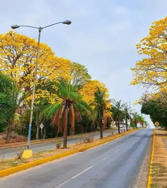 Paseo Enrique Genzzier