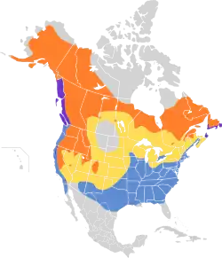 Distribución del género