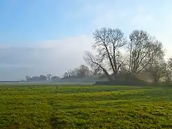 Pasture, Longwick, 2010