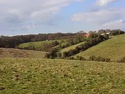 Horsleys Green, 2006