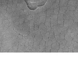 El suelo modelado en forma de características poligonales está asociado con el hielo molido. Es infrecuente encontrarlo tan al sur (45 grados de latitud norte). Fotografía tomada por Mars Global Surveyor.