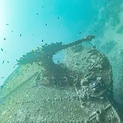 Cañón del Thistlegorm
