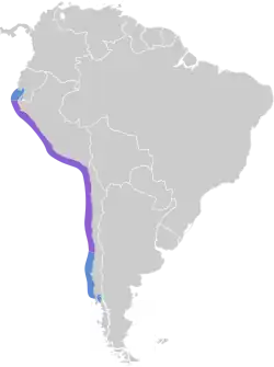 Distribución del pelícano peruano