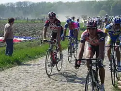 Peleton a la París-Roubaix2007.JPG