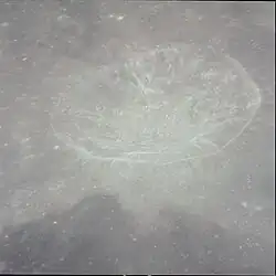 Petavius B, desde el Apolo 12