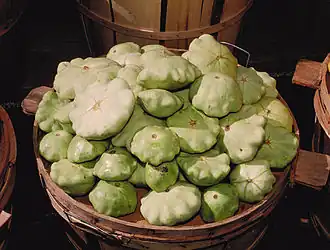 Cucurbita pepo zapallito tipo "plato volador"[47]​ o tipo "ovni".[47]​ Pattypan (inglés), petit pan (francés), pattison (francés). En la clasificación hortícola, Cucurbita pepo Grupo Escalopado (a veces traducido como grupo Vieira, Scallop group).
