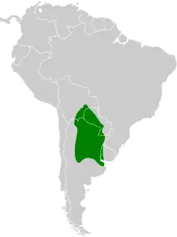 Distribución geográfica del espinero chico.