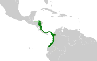 Distribución geográfica del hormiguero ocelado.