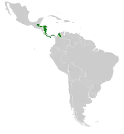 Distribución de geográfica del colibrí de Cuvier