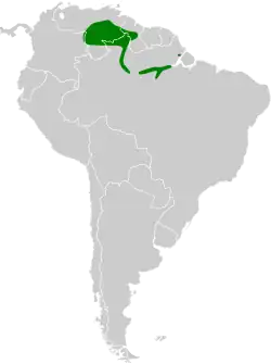 Distribución geográfica del ermitaño del Rupununi
