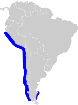 Distribución geográfica del cormorán gris.