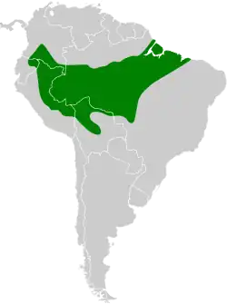 Distribución geográfica del hormiguero maculado.