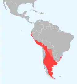 Distribución de Phoenicopterus chilensis Área de cría Área de no reproductivo