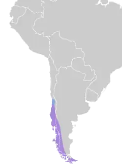 Distribución geográfica del yal patagón.