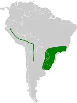 Distribución geográfica del orejerito olivaceo.