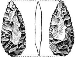 Pieza foliácea africana