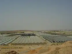 Invernaderos Ein Yahav.