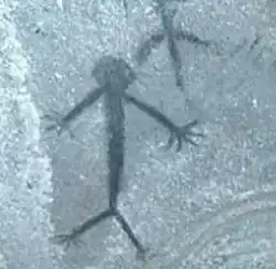 Pintura Rupestre - Valle Seco B.C. - Persona