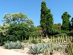 Una vista de Pinya de Rosa.