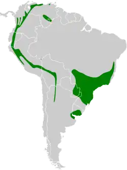 Distribución geográfica de la tangara de antifaz.