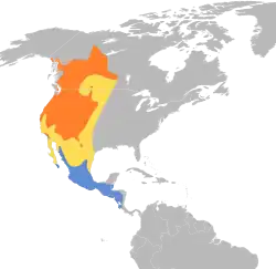 Área de nidificación En vuelo migratorio Área de invernada