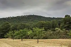 Sierra de Escalona y Dehesa de Campoamor