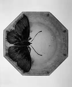 Plato, MET, entre 1919 –1925.