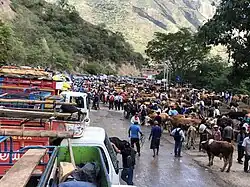 Plaza pecuaria en el puerto de Chiple, al norte del distrito.
