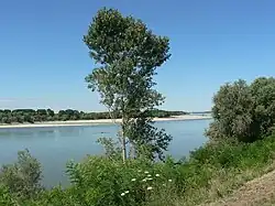 El Po en las proximidades de Occhiobello.