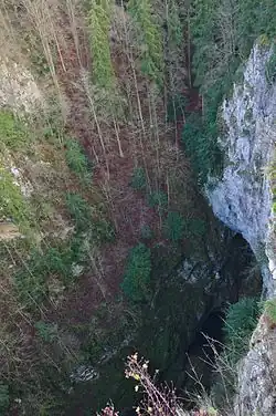 La vista al fondo del abismo del Puente Alto