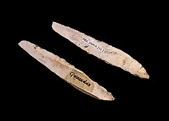 Punta de La Gravette