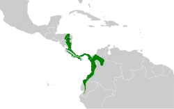 Distribución geográfica del hormiguero dorsicastaño.
