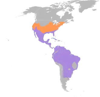 Distribución geográfica de la familia Polioptilidae.