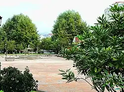 Árboles en la plaza