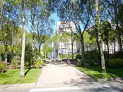 Camino en la plaza ajardinada