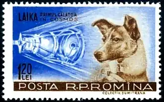 Laika, el primer ser vivo lanzado al espacio, en el Sputnik 2, 1957. El Sputnik 1 había sido el primer satélite artificial, puesto en órbita un mes antes.