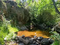 Poza de La Tomasa, área de gran valor natural en el río Peces