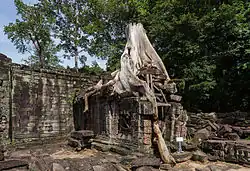 Detalle de un árbol sobre uno de los edificios del templo.