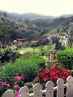 Clima templado de montaña en Colonia Tovar