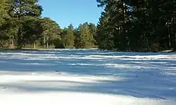 Tremedales de Orihuela