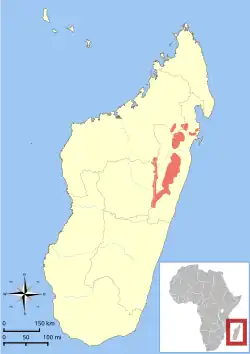 Distribución del sifaca diademado