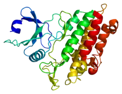 Estructura de la proteína ACVR1B. Basado en la representación PyMOL de PDB 1rw8.
