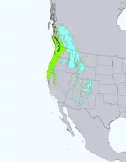 alt=     Verde: Abeto de Douglas de la costa (Pseudotsuga menziesii var. menziesii)      Azul: Abeto de Douglas de las Montañas Rocosas (Pseudotsuga menziesii var. glauca)