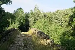 Camino Real de Segovia a Turégano a su paso por el puente, con una estrechez deliberada para el conteo de ganado