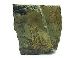 Dendrítico: con forma de hojas de plantas, como en la pirolusita.