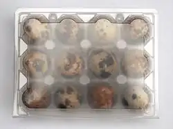 Huevos de codorniz en una huevera de plástico